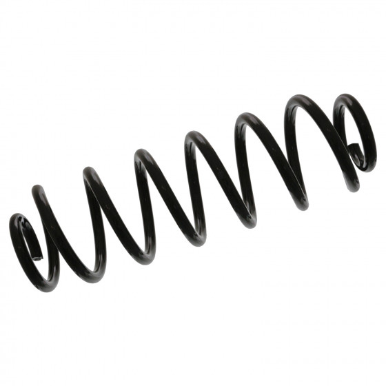 Coil Spring (A4 B6 B7, Front) - 8E0411105DL
