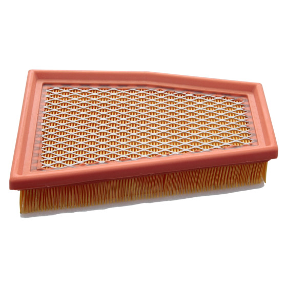 Air Filter (RS5 B8, Left) - 8T0133843A