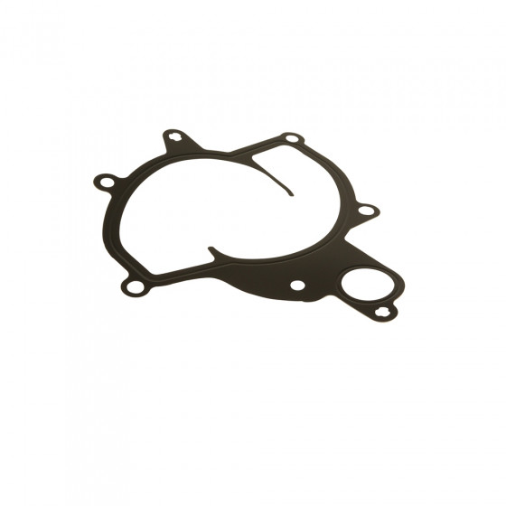 Water Pump Gasket (911 Boxster Cayman) - 99710634000