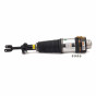 Air Suspension Strut Assembly (A6 C6, Front Right) - AS-2816